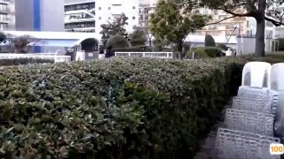 🈲🈲中国熟妇久久无码网